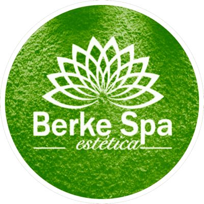 Logo de Berke SpA